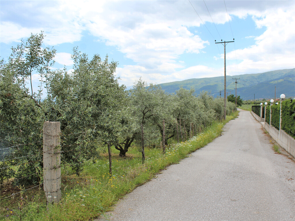 Земля в Олимпиаки-Акти, Греция, 6 599 м² - фото 3