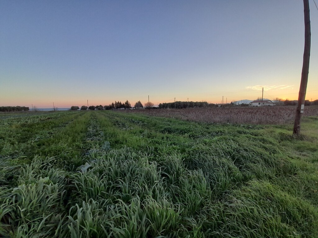 Земля в Салониках, Греция, 5 000 м² - фото 3