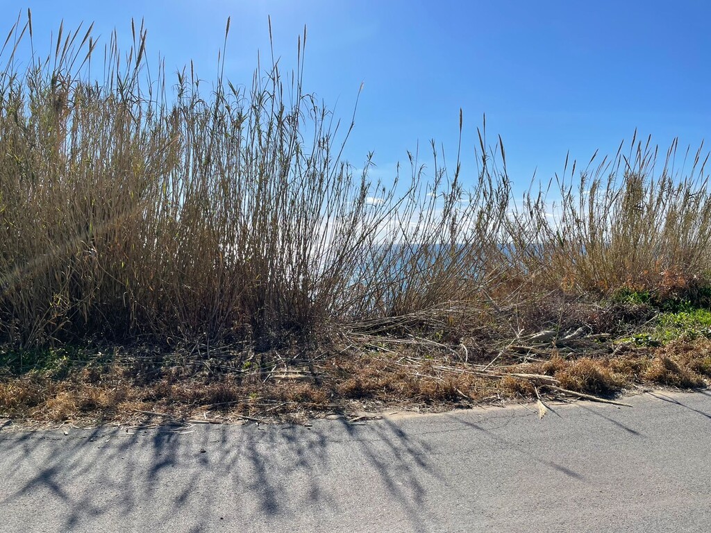 Земля на Корфу, Греция, 3 646 м² - фото 3