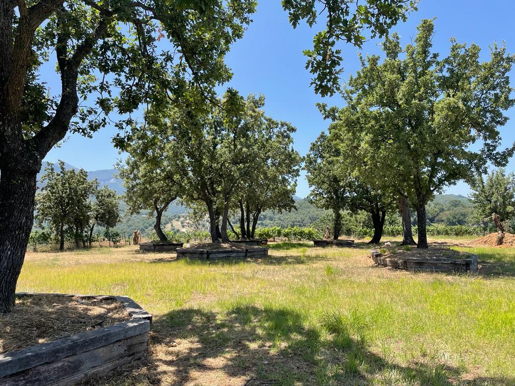 Земля на Корфу, Греция, 26 159 м² - фото 3