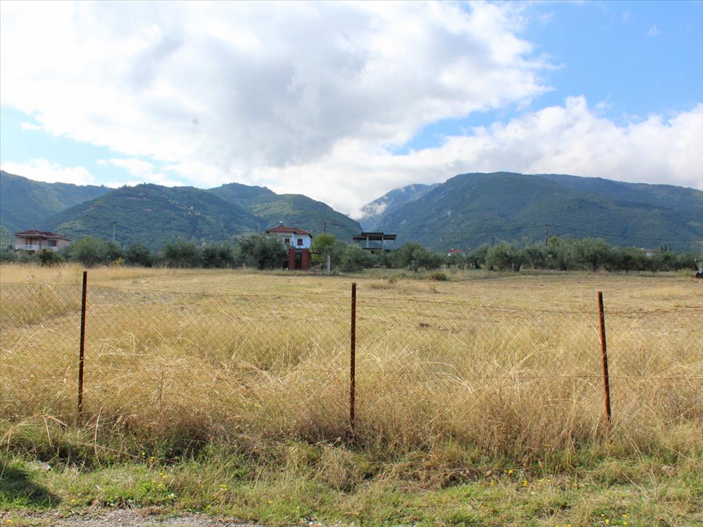 Земля в Олимпиаки-Акти, Греция, 5 550 м² - фото 3