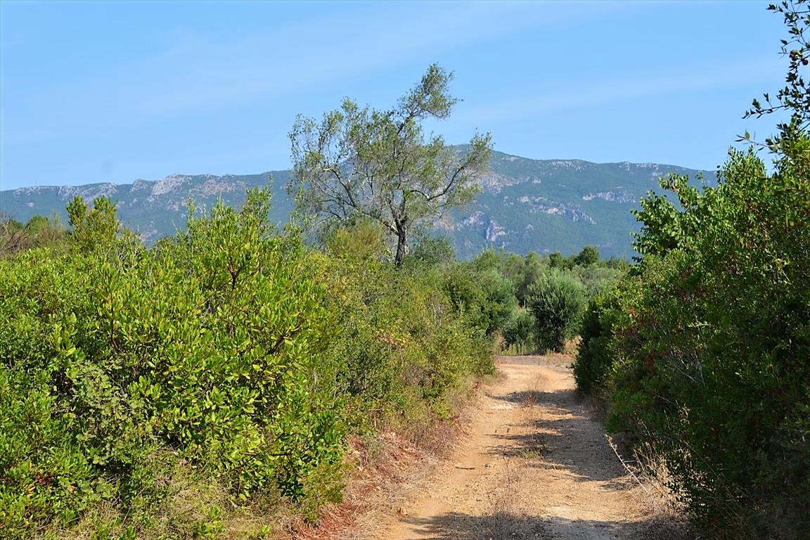 Земля на Корфу, Греция, 60 000 м² - фото 3