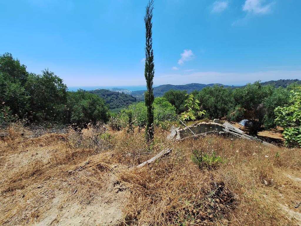 Земля на Корфу, Греция, 3 310 м² - фото 3