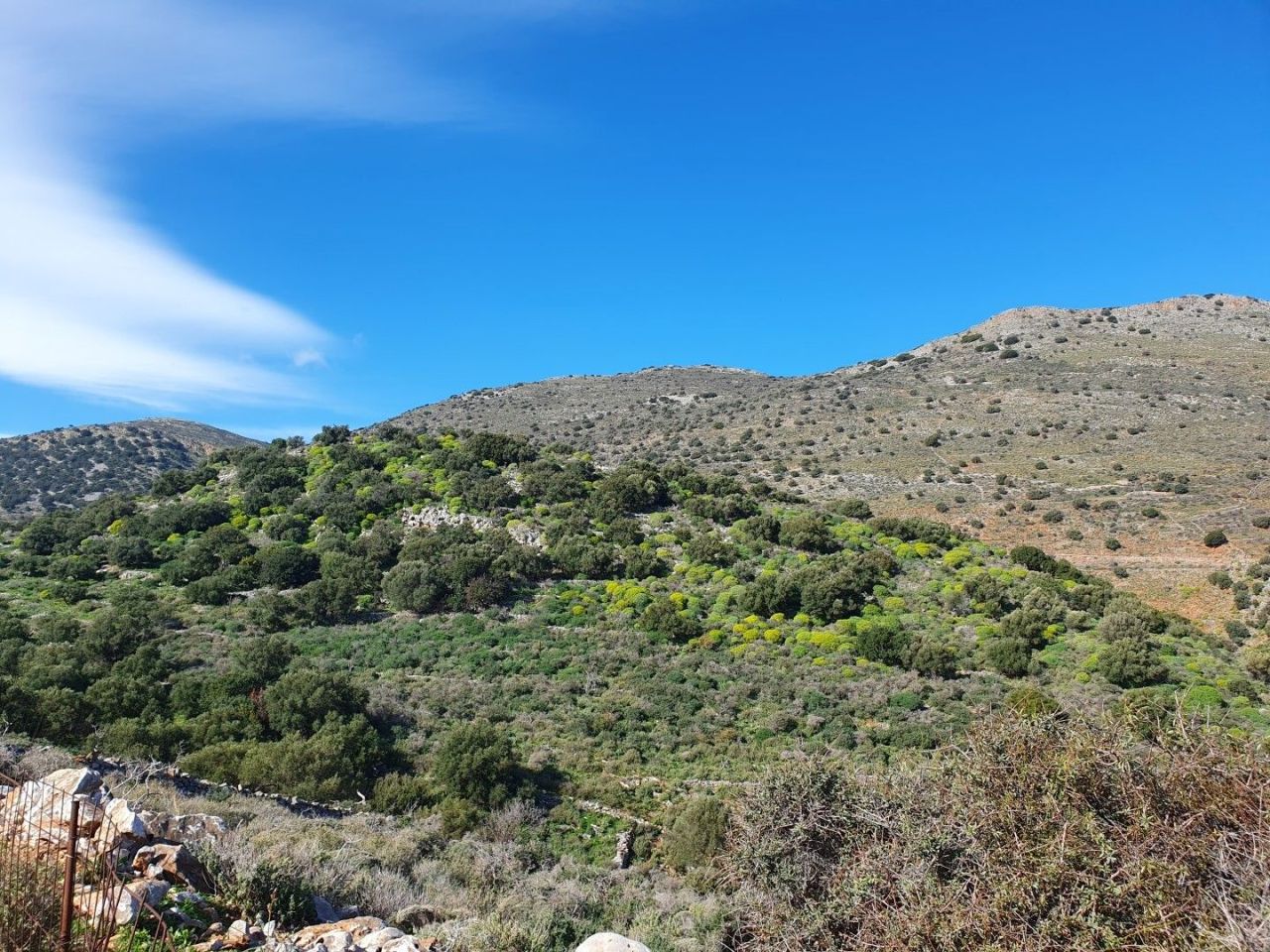 Земля в Ираклионе, Греция, 40 085 м² - фото 3