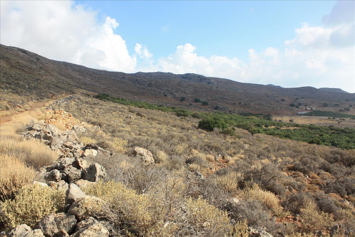 Земля в Ираклионе, Греция, 25 000 м² - фото 3