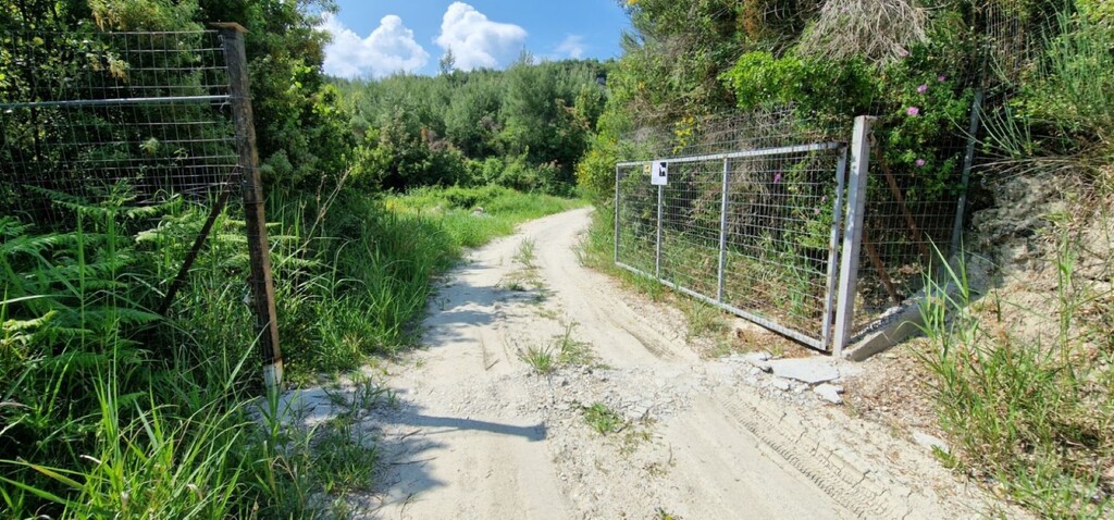 Земля на Кассандре, Греция, 10 000 м² - фото 3