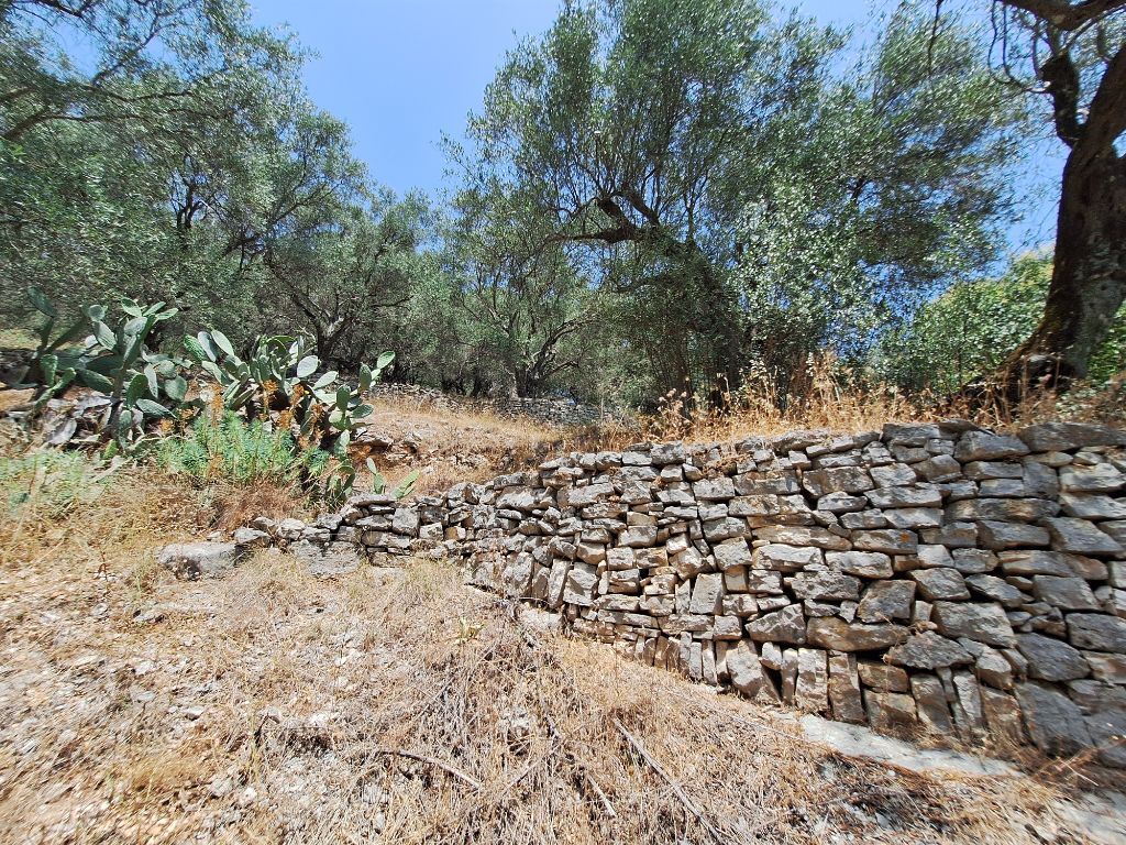 Земля на Корфу, Греция, 6 000 м² - фото 3