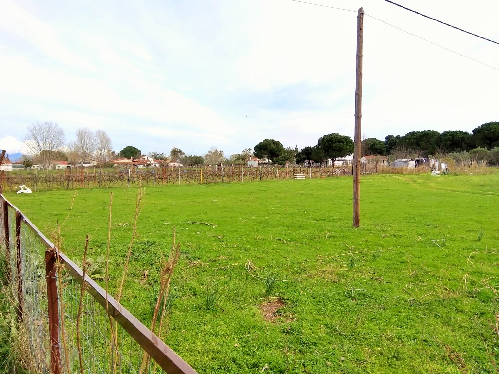 Земля в Ситонии, Греция, 2 650 м² - фото 3