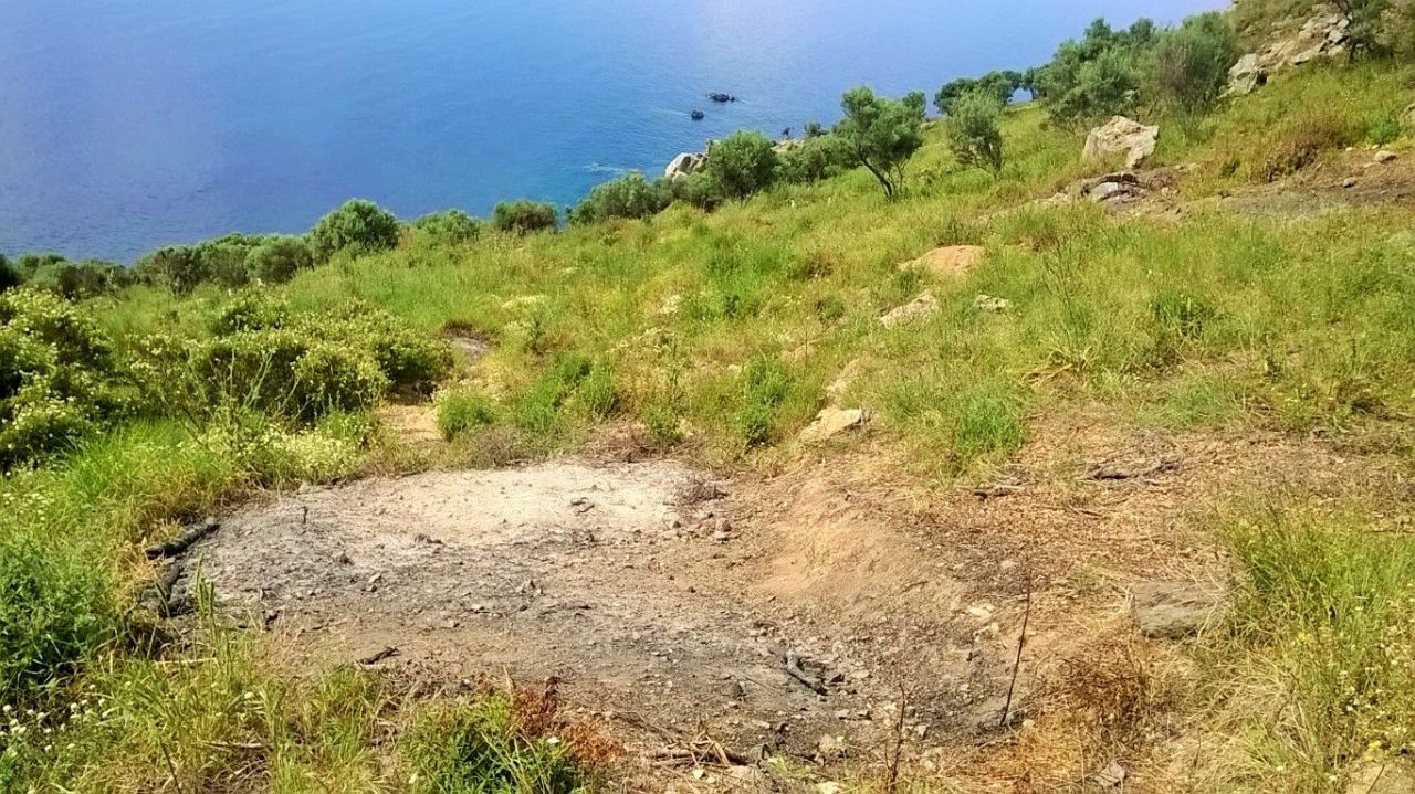 Земля на Халкидиках, Греция, 17 720 м² - фото 3