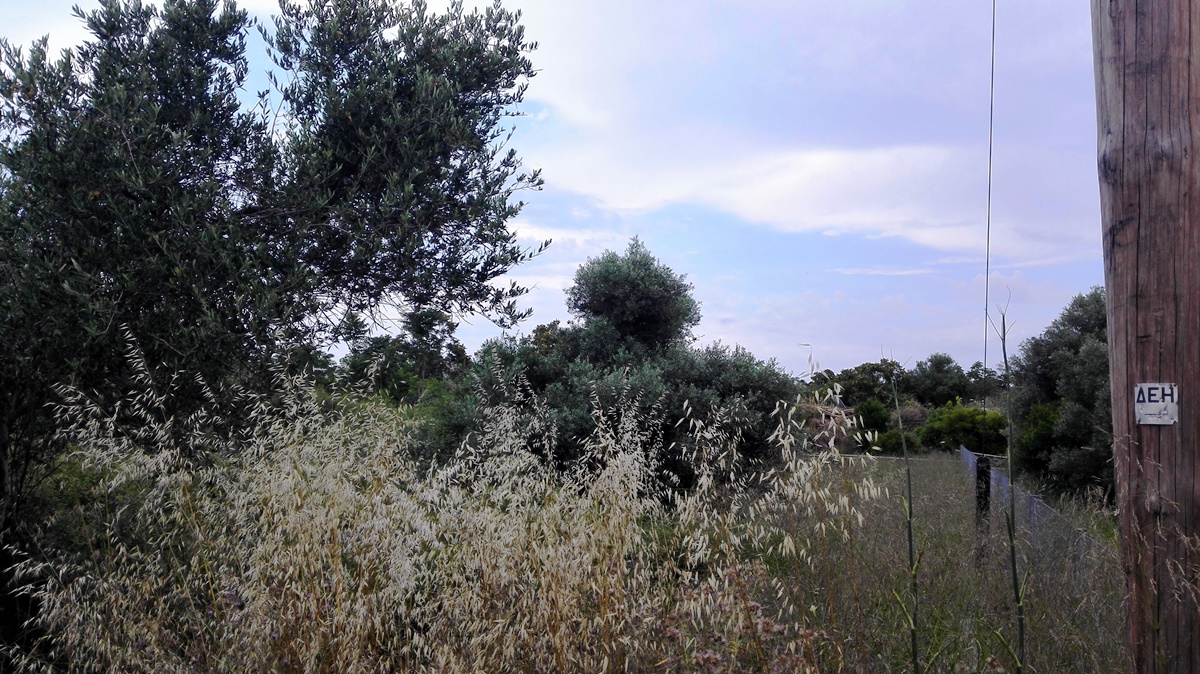 Земля в Ираклионе, Греция, 400 м² - фото 3