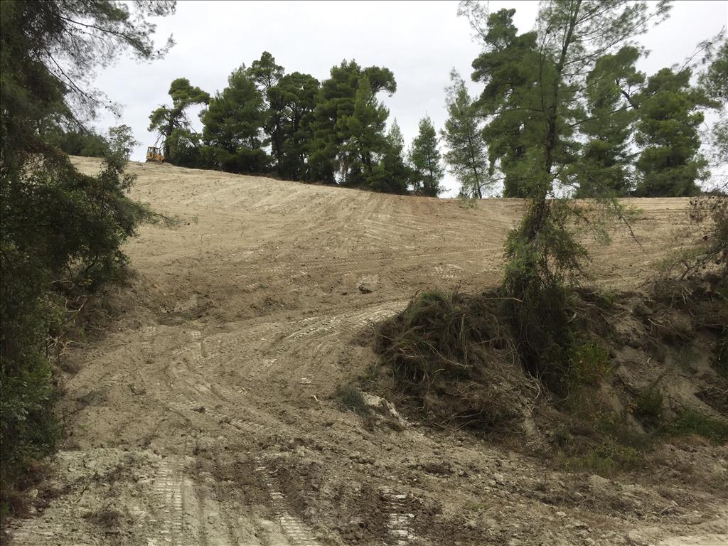 Земля на Кассандре, Греция, 13 000 м² - фото 3