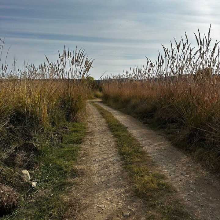 Земля на Халкидиках, Греция, 10 000 м² - фото 3