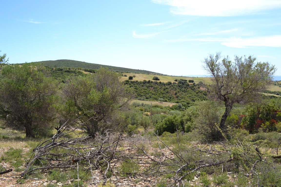 Земля на Халкидиках, Греция, 20 000 м² - фото 3