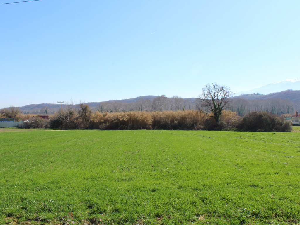 Земля в Олимпиаки-Акти, Греция, 6 800 м² - фото 3