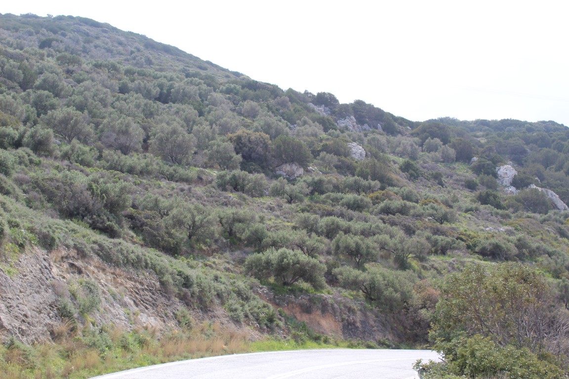 Земля в Ираклионе, Греция, 12 588 м² - фото 3