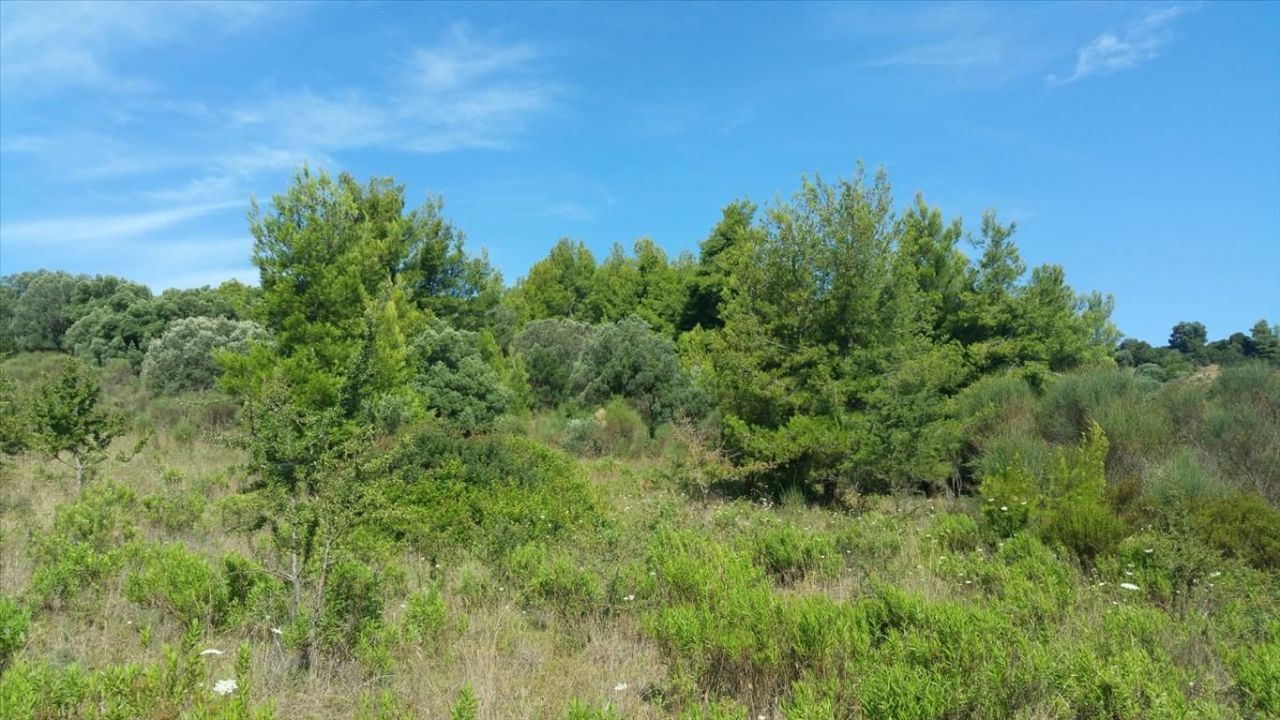 Земля на Кассандре, Греция, 9 000 м² - фото 3