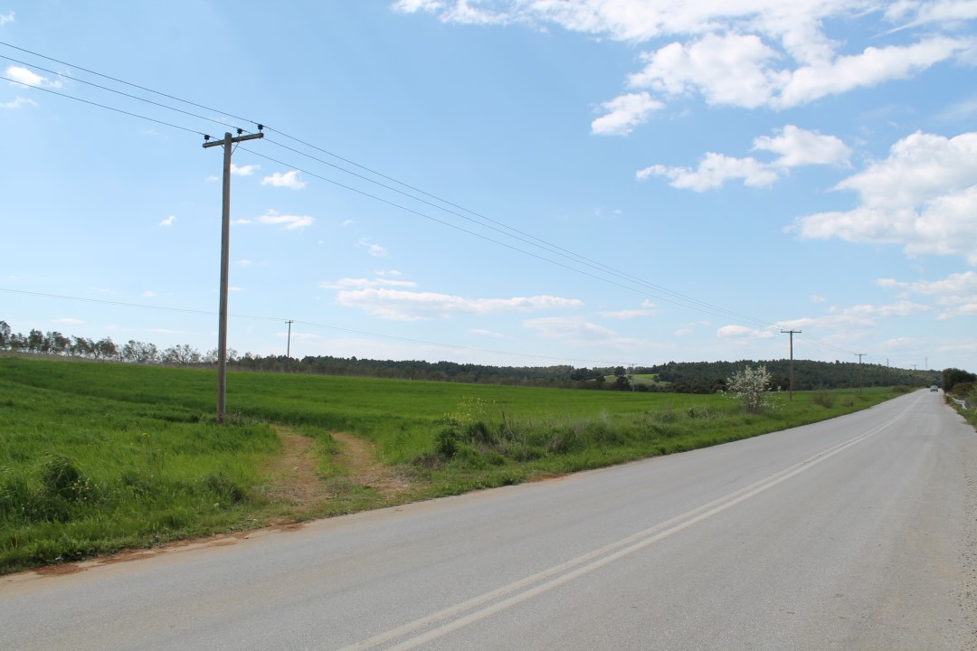 Земля на Кассандре, Греция, 7 500 м² - фото 3