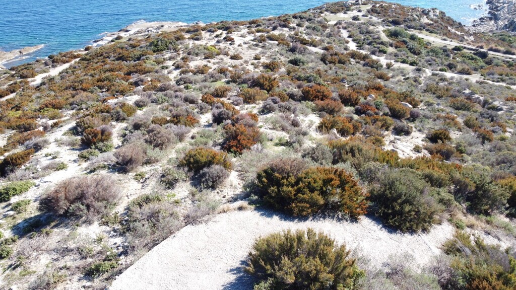 Земля на Халкидиках, Греция, 500 м² - фото 3