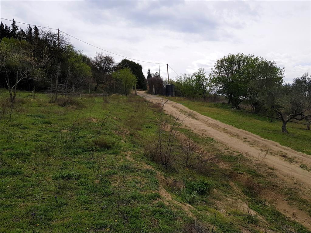 Земля в Салониках, Греция, 12 000 м² - фото 3