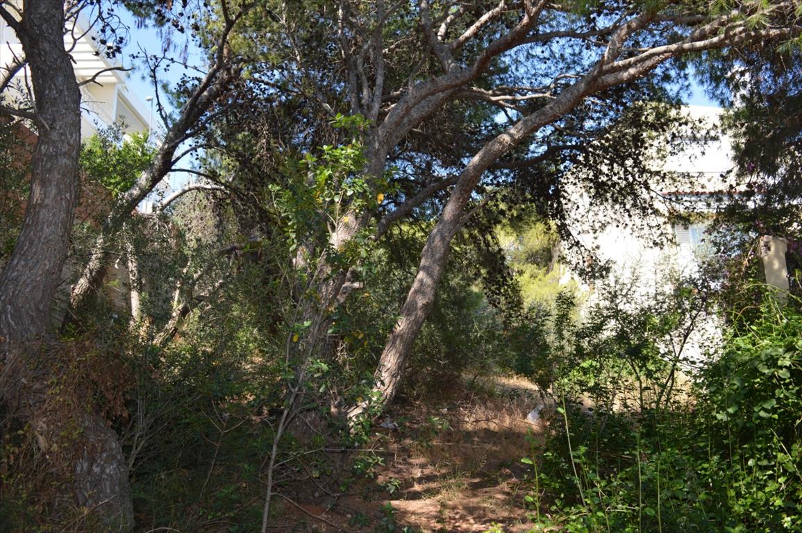 Земля в Аттике, Греция, 536 м² - фото 4