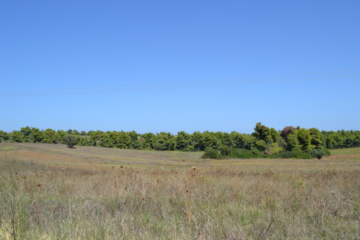 Земля на Кассандре, Греция, 4 380 м² - фото 4