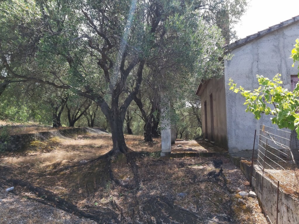 Земля на Корфу, Греция, 7 200 м² - фото 4