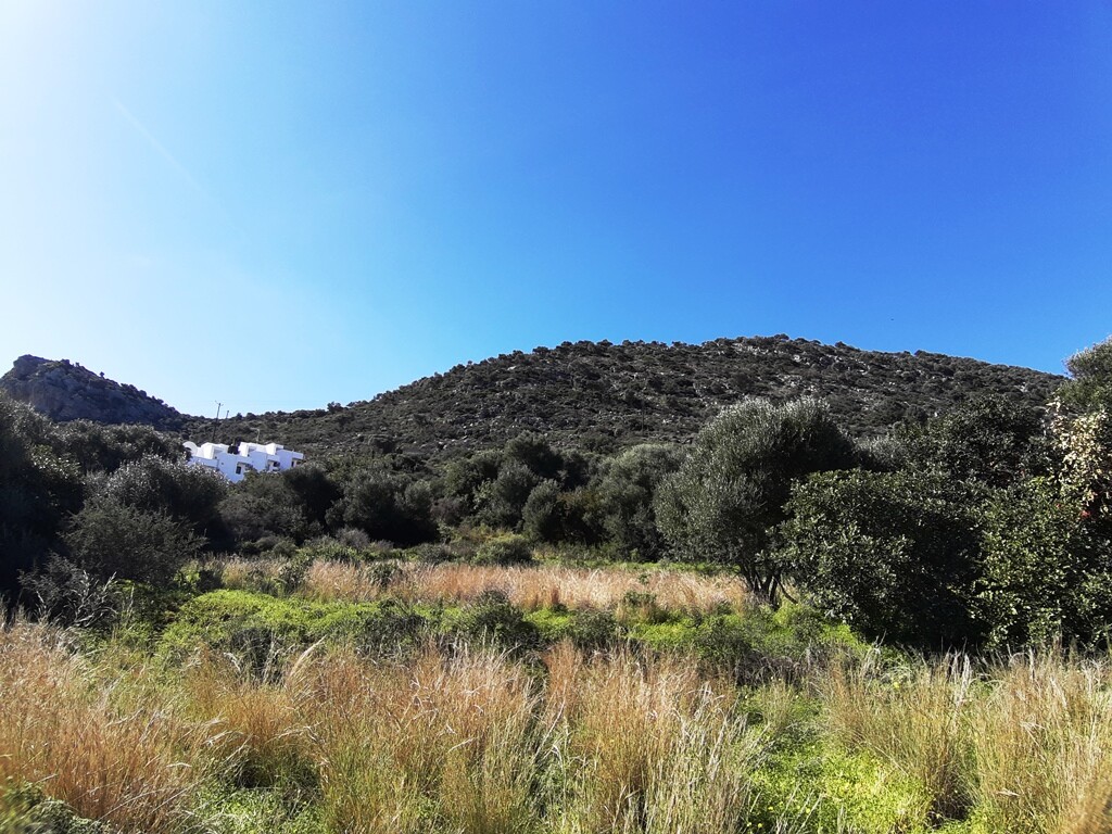 Земля в Ираклионе, Греция, 24 000 м² - фото 4