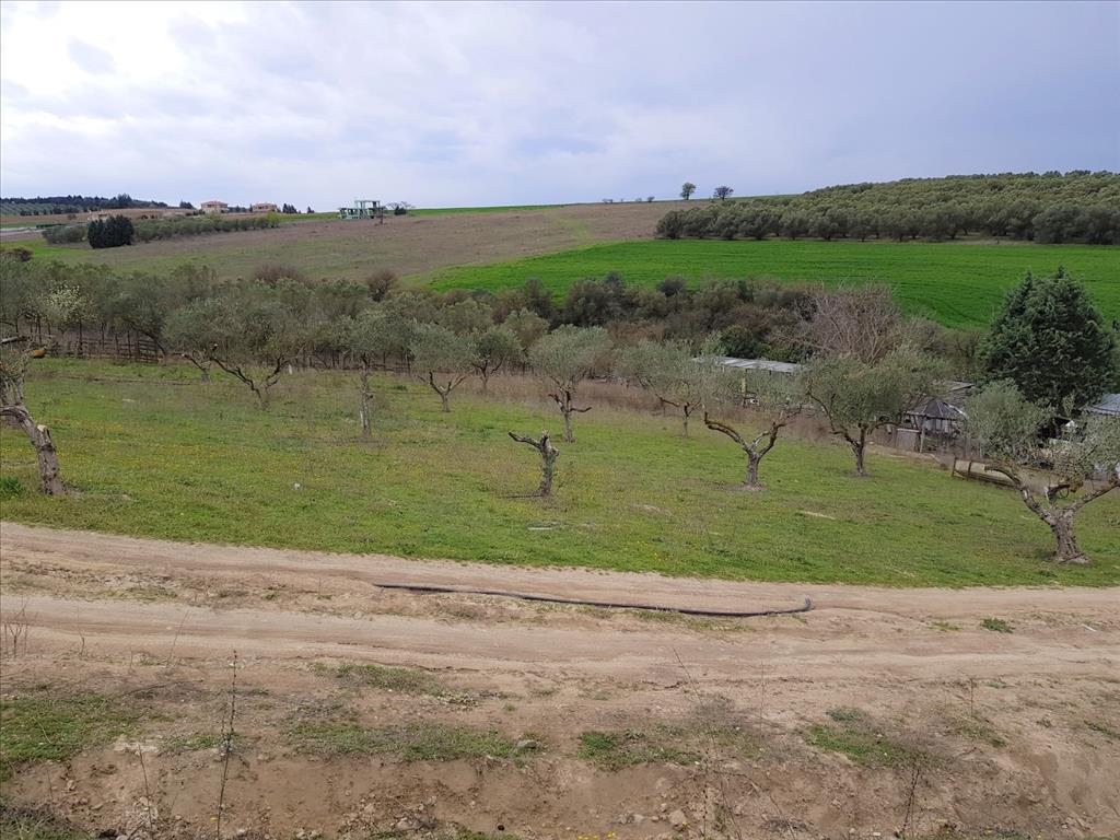 Земля в Салониках, Греция, 12 000 м² - фото 4