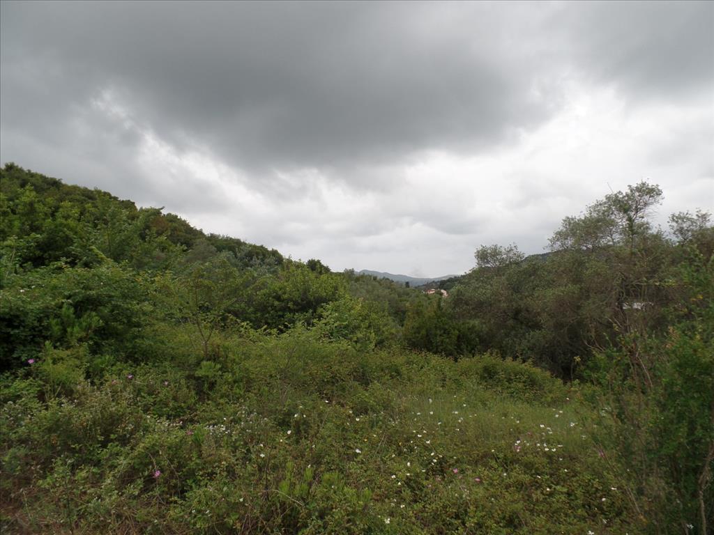 Земля на Корфу, Греция, 15 000 м² - фото 4