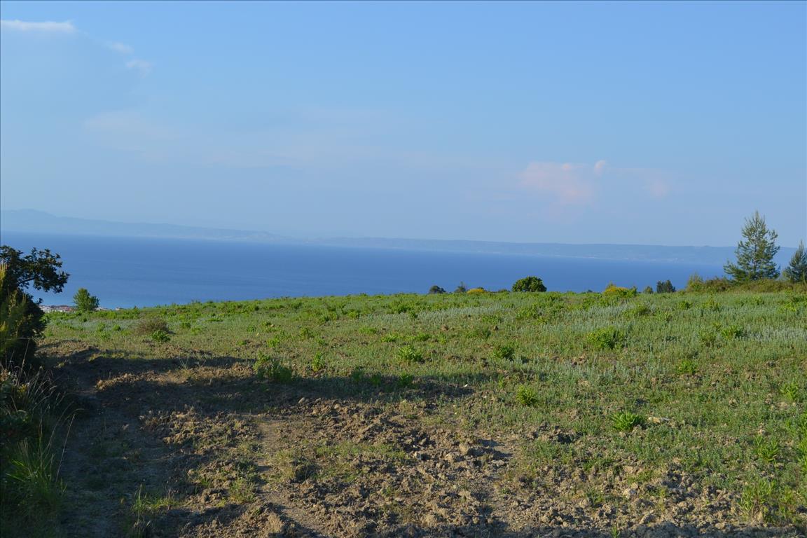 Земля на Кассандре, Греция, 15 400 м² - фото 4