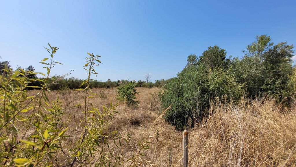 Земля в Салониках, Греция, 5 000 м² - фото 4