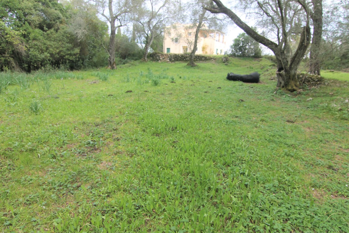 Земля на Корфу, Греция, 4 216 м² - фото 4