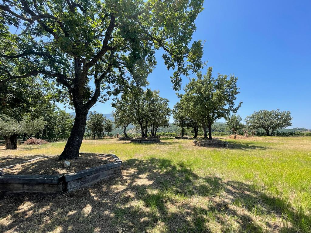 Земля на Корфу, Греция, 26 159 м² - фото 4