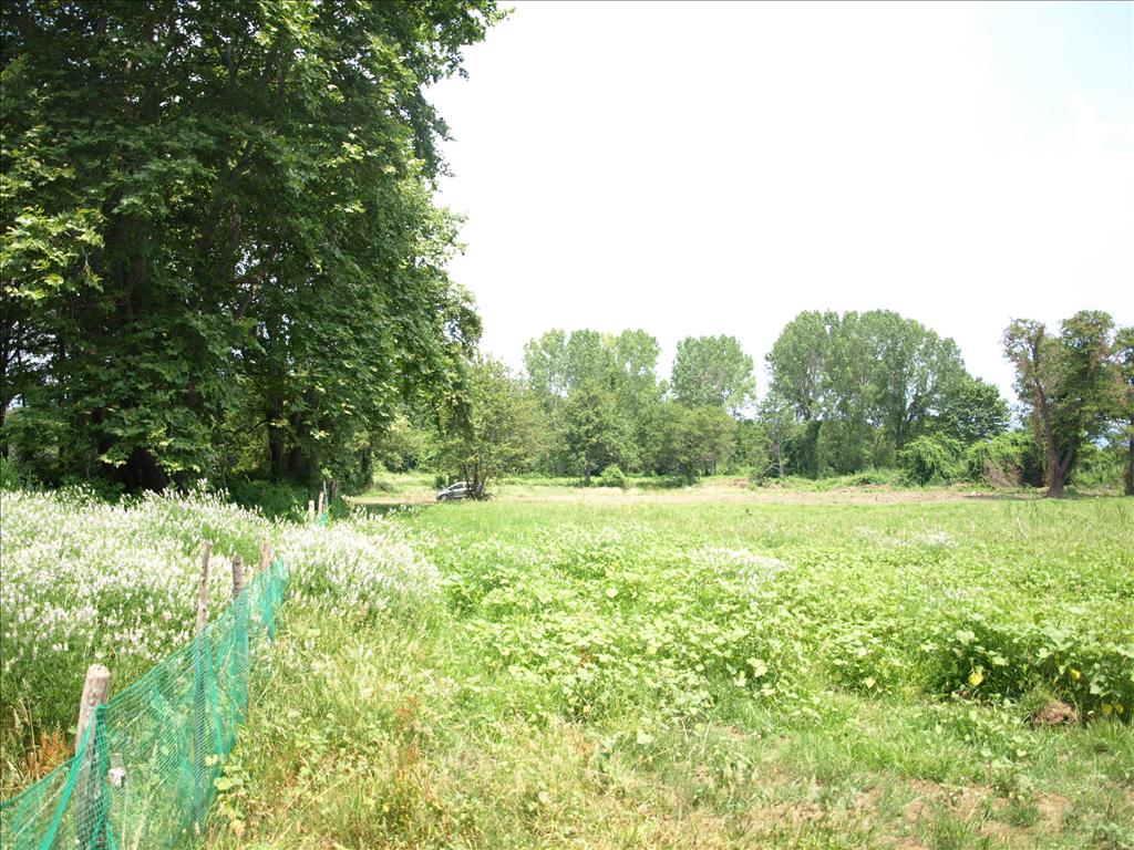 Земля на Халкидиках, Греция, 10 045 м² - фото 4