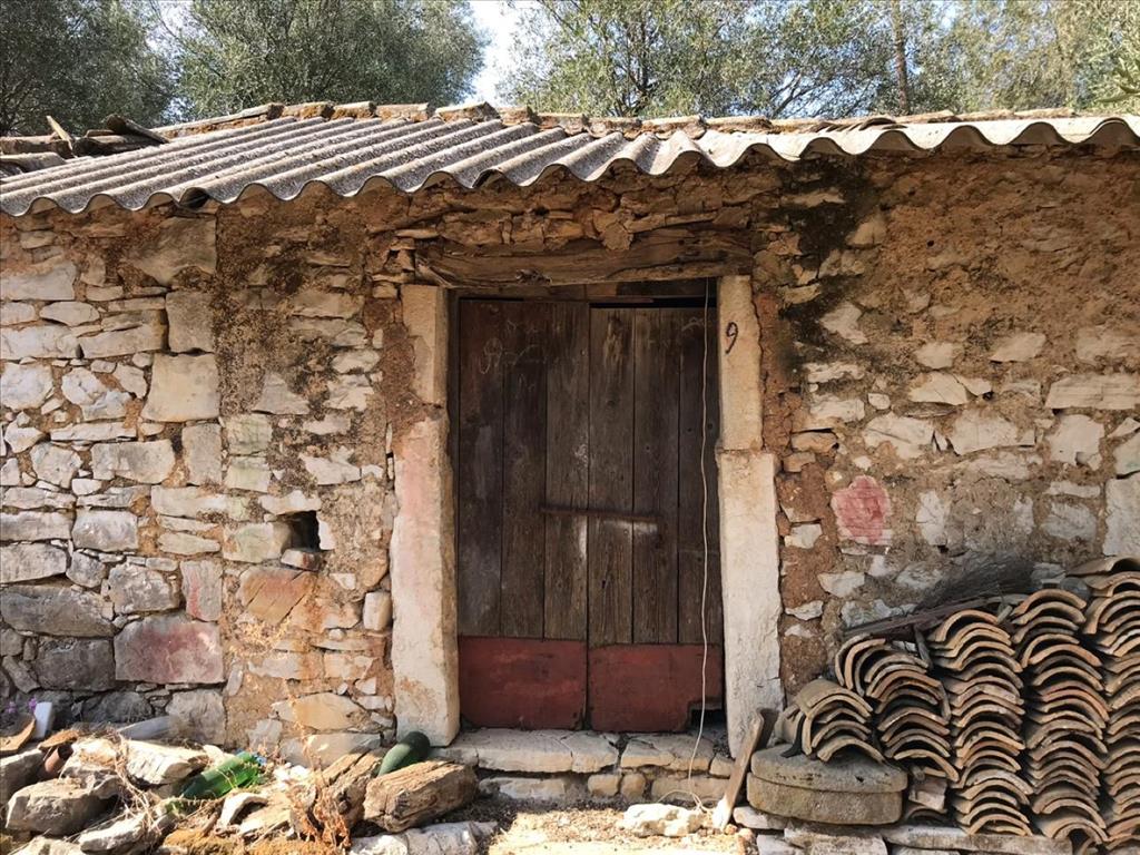 Земля на Корфу, Греция, 4 000 м² - фото 4