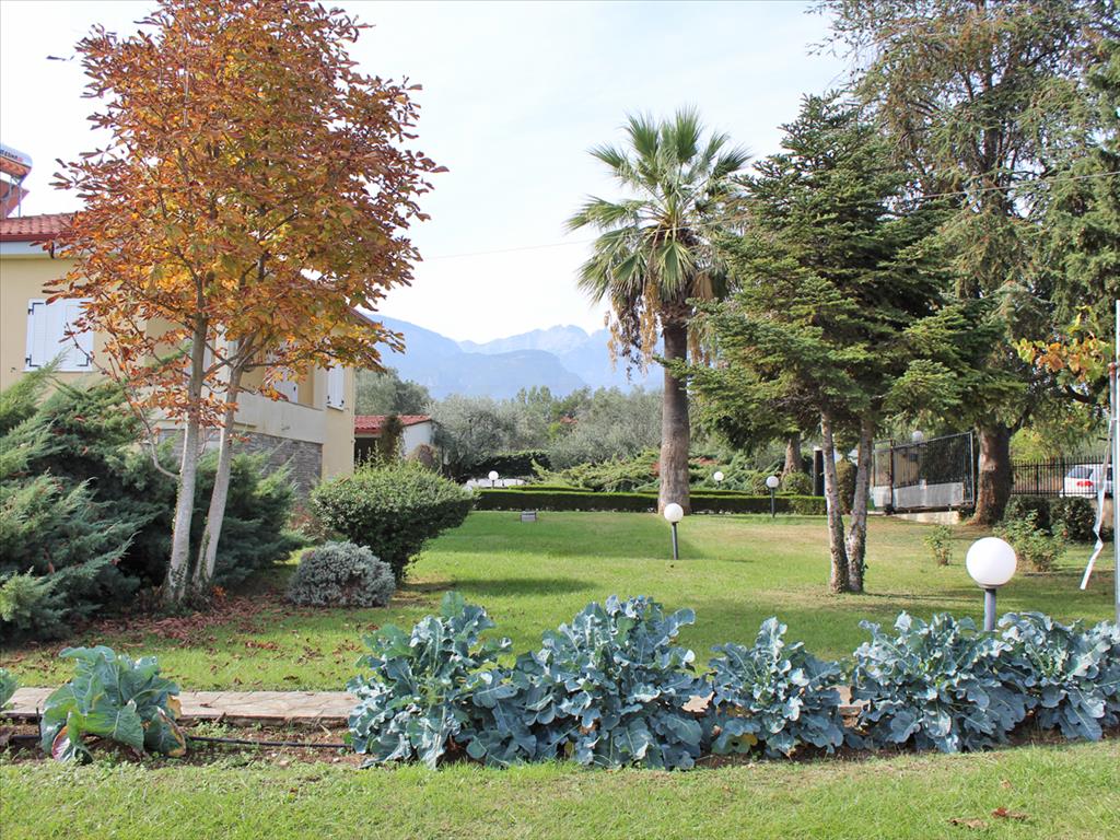 Вилла в Олимпиаки-Акти, Греция, 220 м² - фото 4