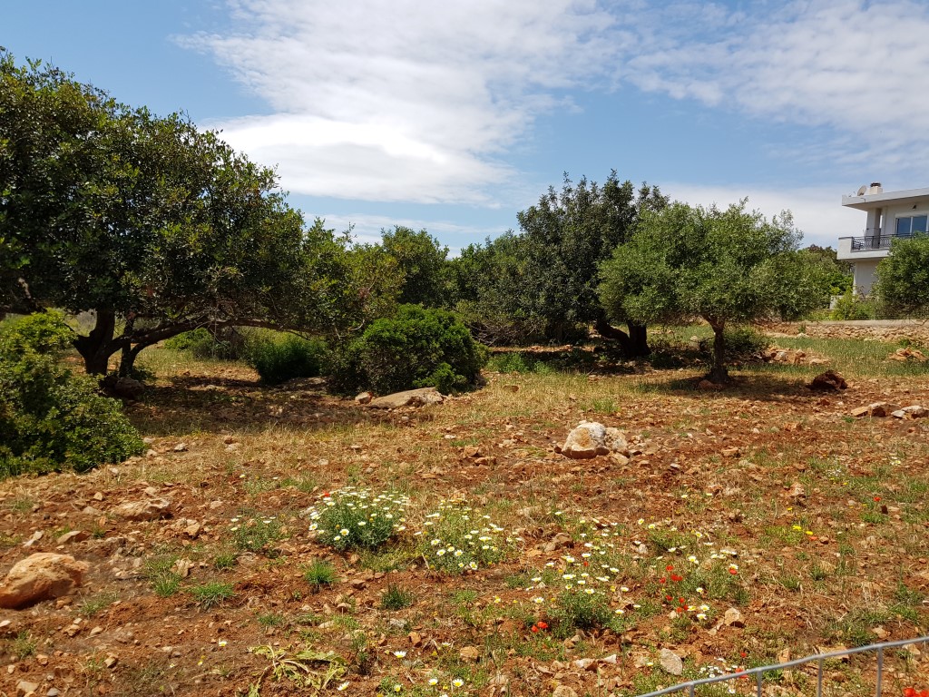 Земля в Ираклионе, Греция, 4 542 м² - фото 4