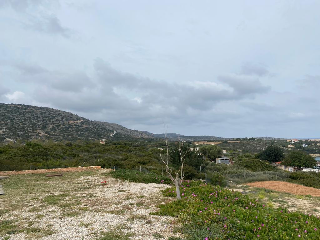 Земля в Ираклионе, Греция, 11 799 м² - фото 4