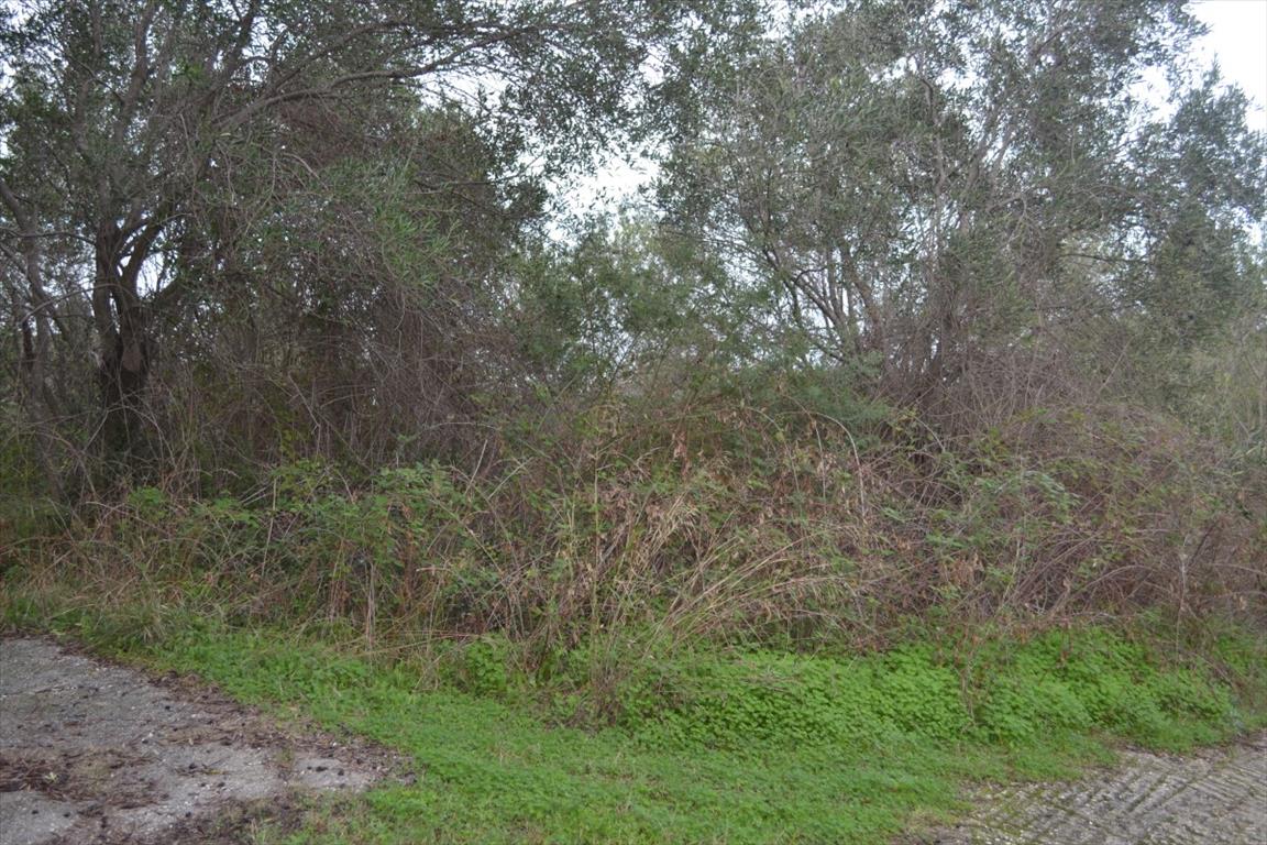 Земля на Корфу, Греция, 10 000 м² - фото 4