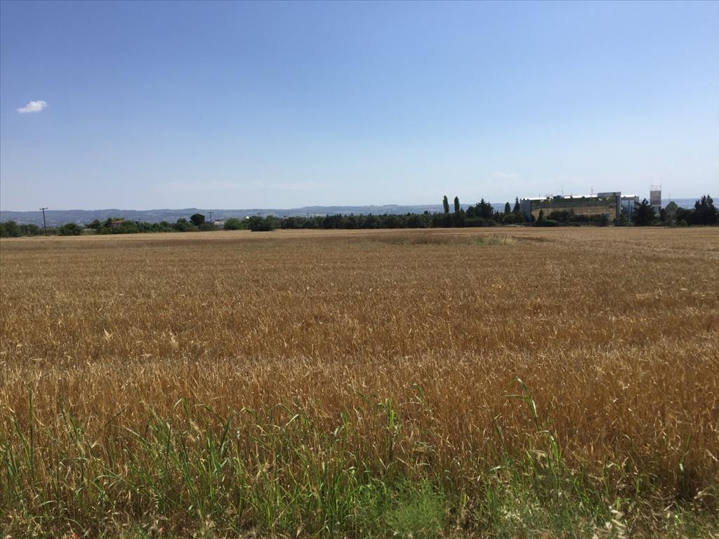 Земля в Салониках, Греция, 16 000 м² - фото 4