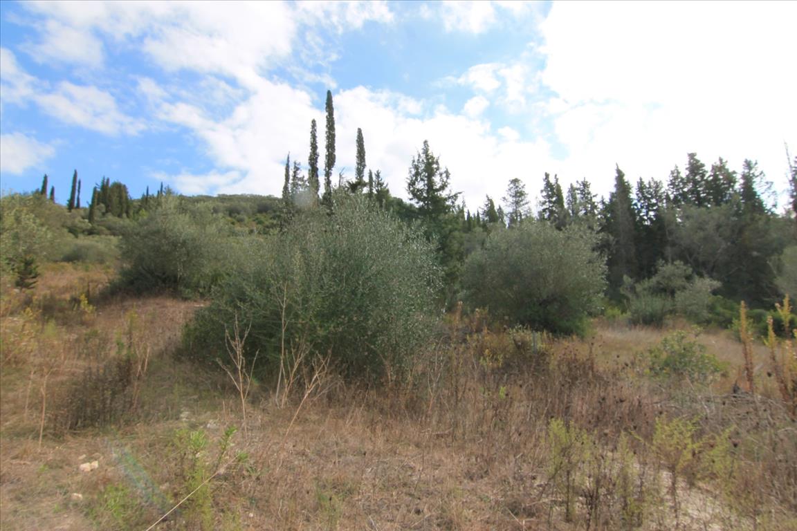 Земля на Корфу, Греция, 15 000 м² - фото 4