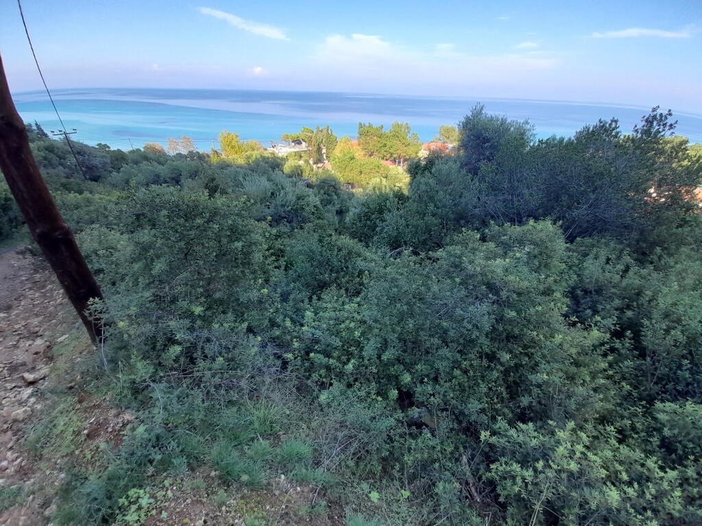 Земля на Кассандре, Греция, 2 704 м² - фото 4