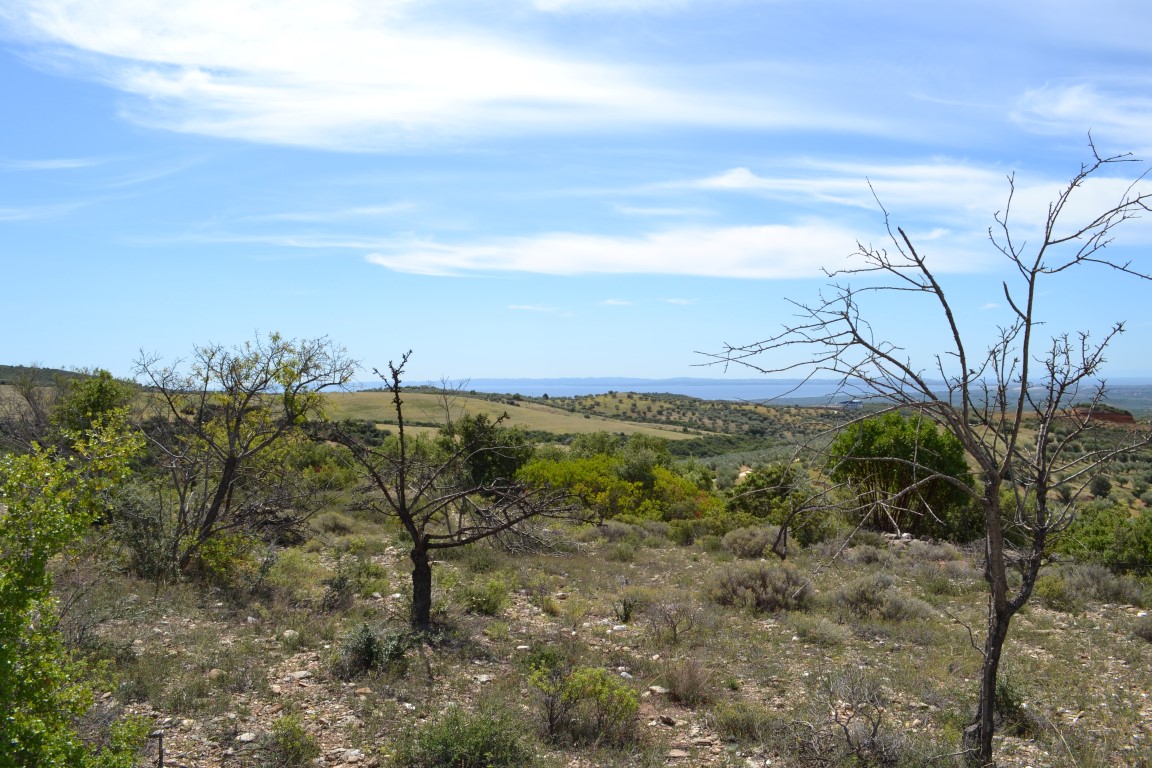 Земля на Халкидиках, Греция, 20 000 м² - фото 4