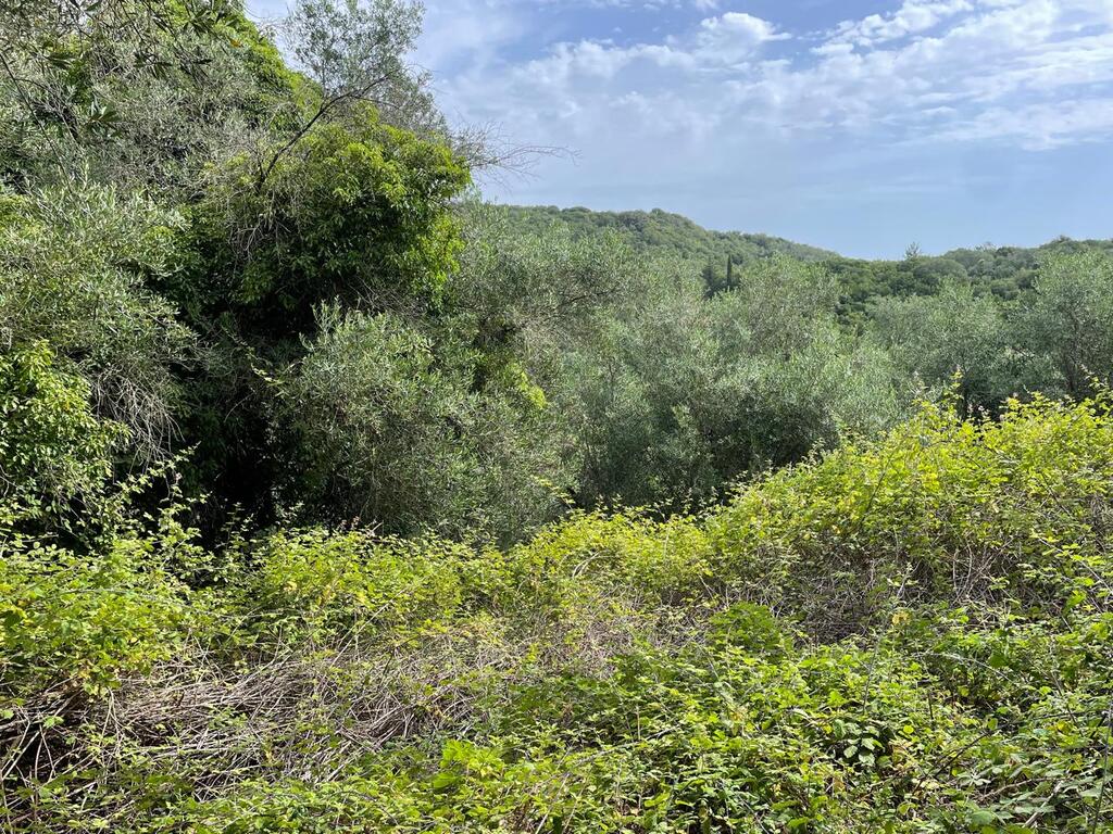 Земля на Корфу, Греция, 5 020 м² - фото 4