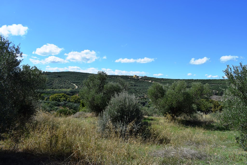 Земля в Ираклионе, Греция, 2 010 м² - фото 4