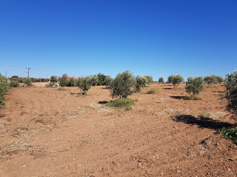 Земля на Халкидиках, Греция, 5 500 м² - фото 4