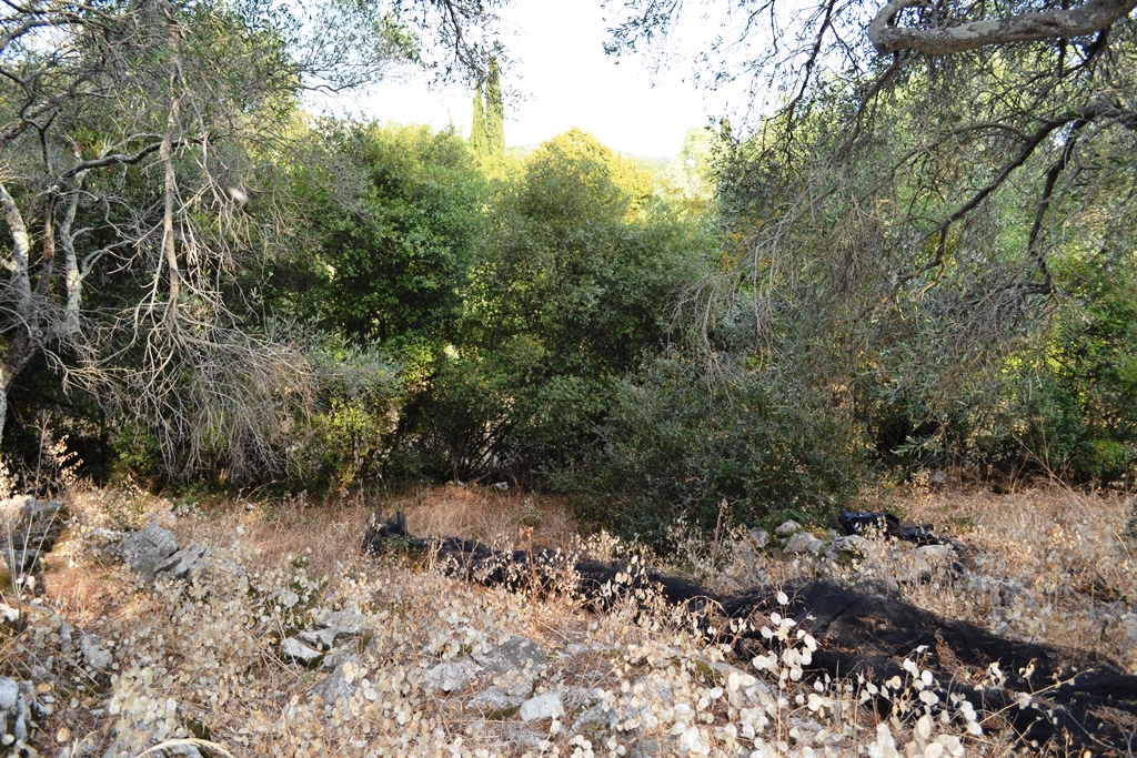 Земля на Корфу, Греция, 6 500 м² - фото 4