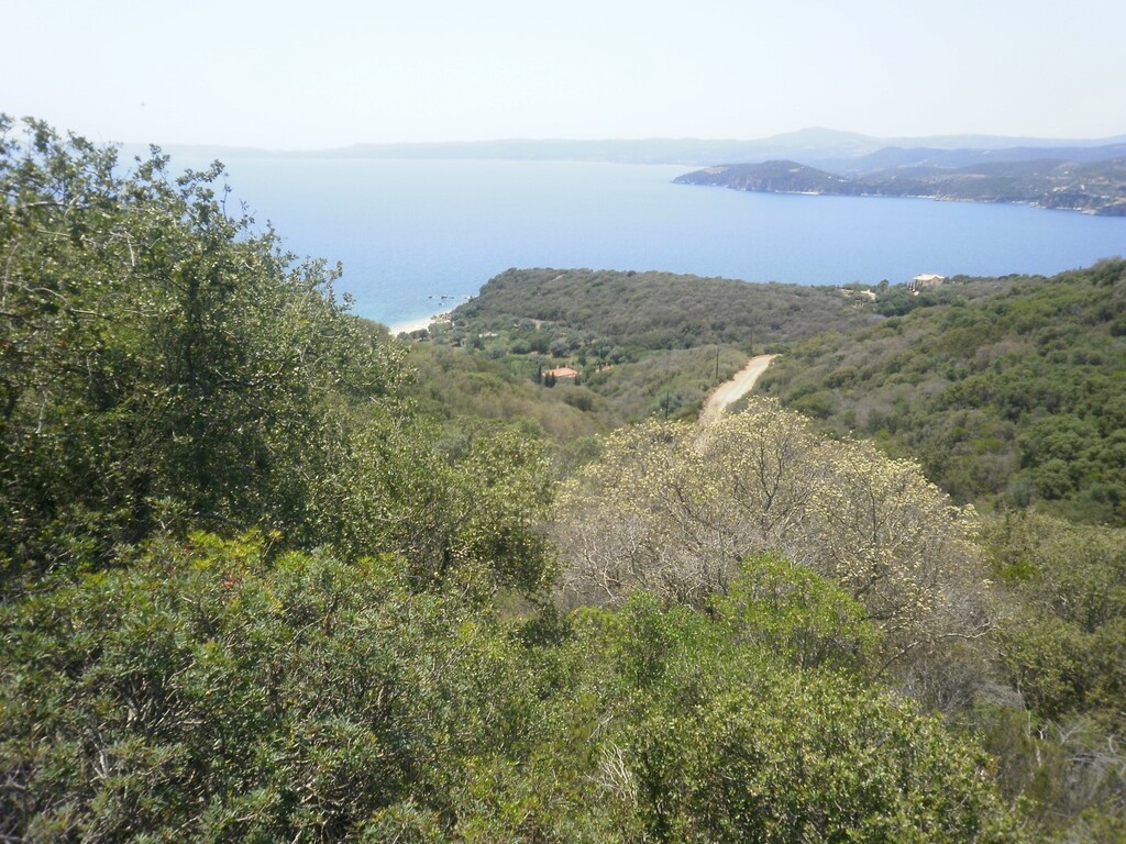 Земля на Халкидиках, Греция, 6 070 м² - фото 4