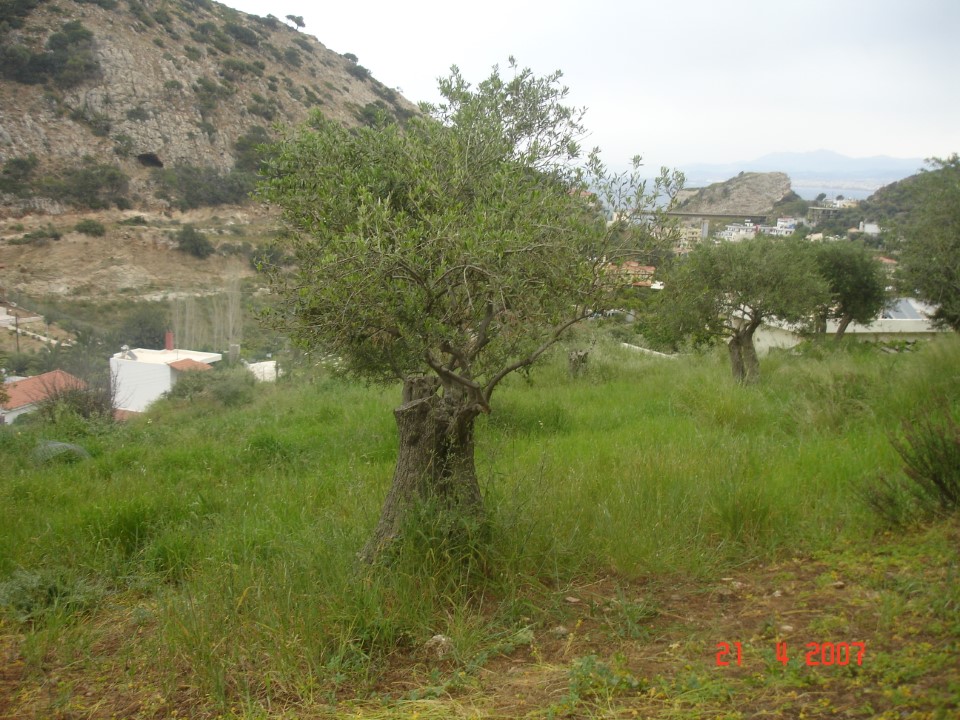 Земля в Ираклионе, Греция, 2 200 м² - фото 4