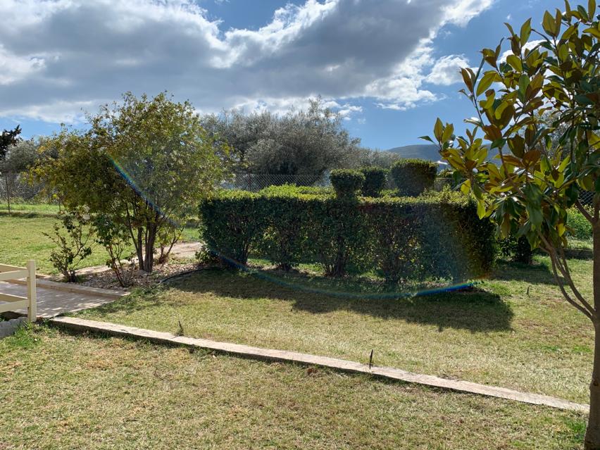 Дом в Аттике, Греция, 540 м² - фото 4